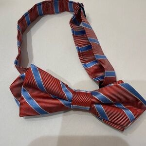 Elegant Red and Blue Striped Bow Tie